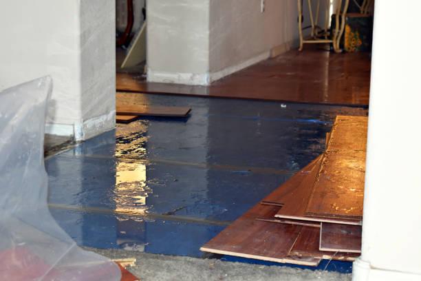 Professional Emergency Water Damage Restoration technician working in Lewisville, WA